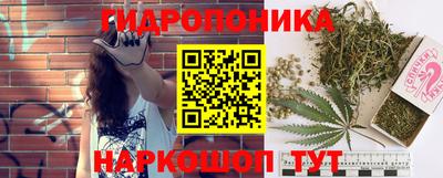 соль ск Кулебаки