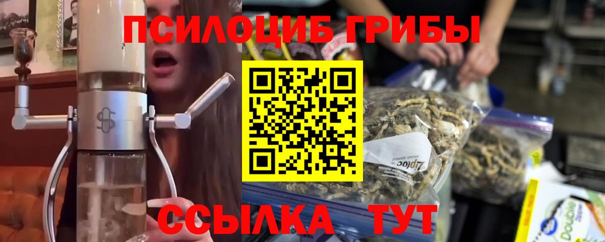 Псилоцибиновые грибы GOLDEN TEACHER Зеленокумск